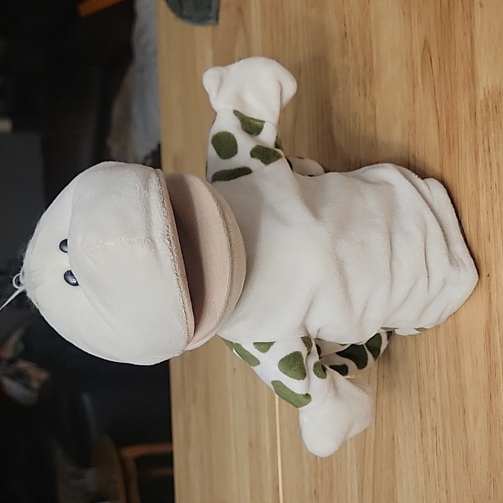Turtle Puppet